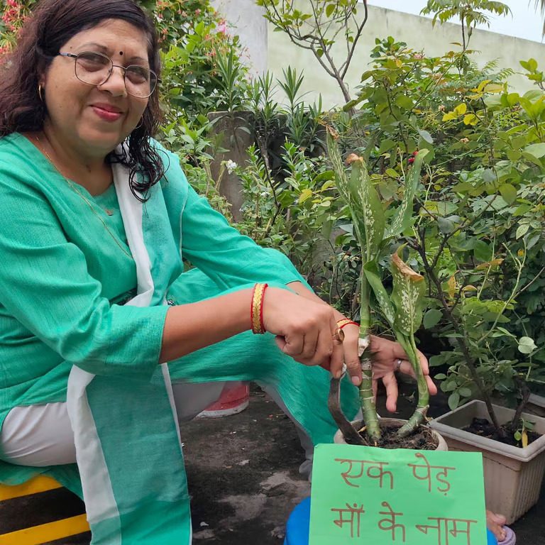 Planting a sapling