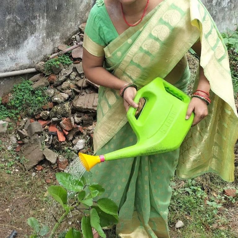 Watering the plant
