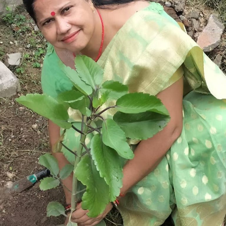 Nurturing small green plant
