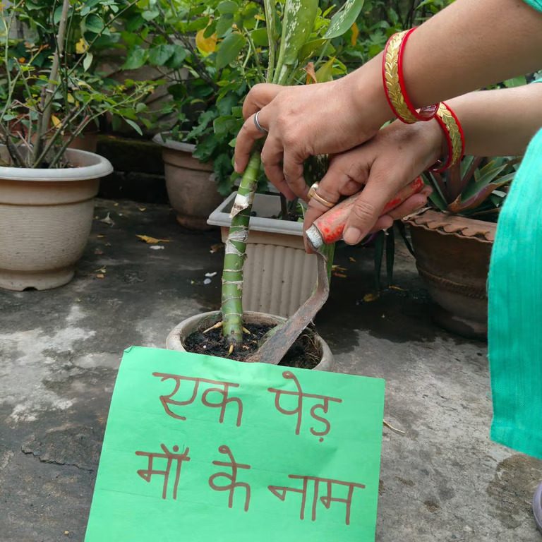 Preparing soil for plantation